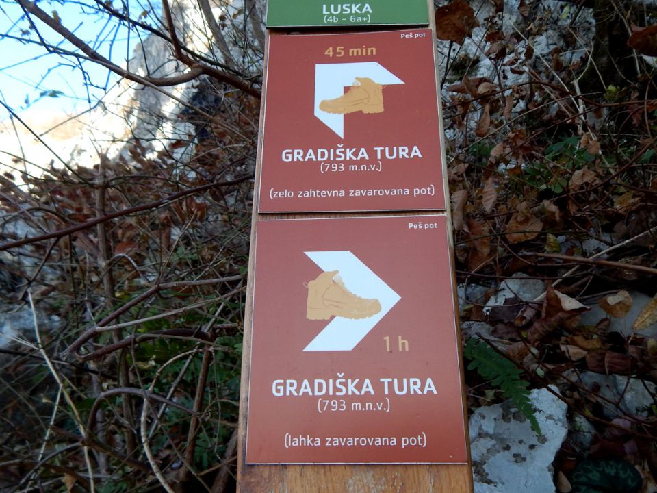 Trstelj in Gradiška tura - 20.12.2015 - foto povečava