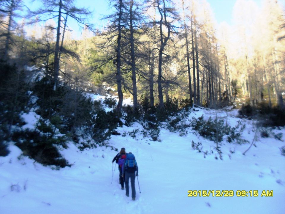 Pl.Ravne-Veliki vrh-Dolga trata-23.12.15 - foto povečava