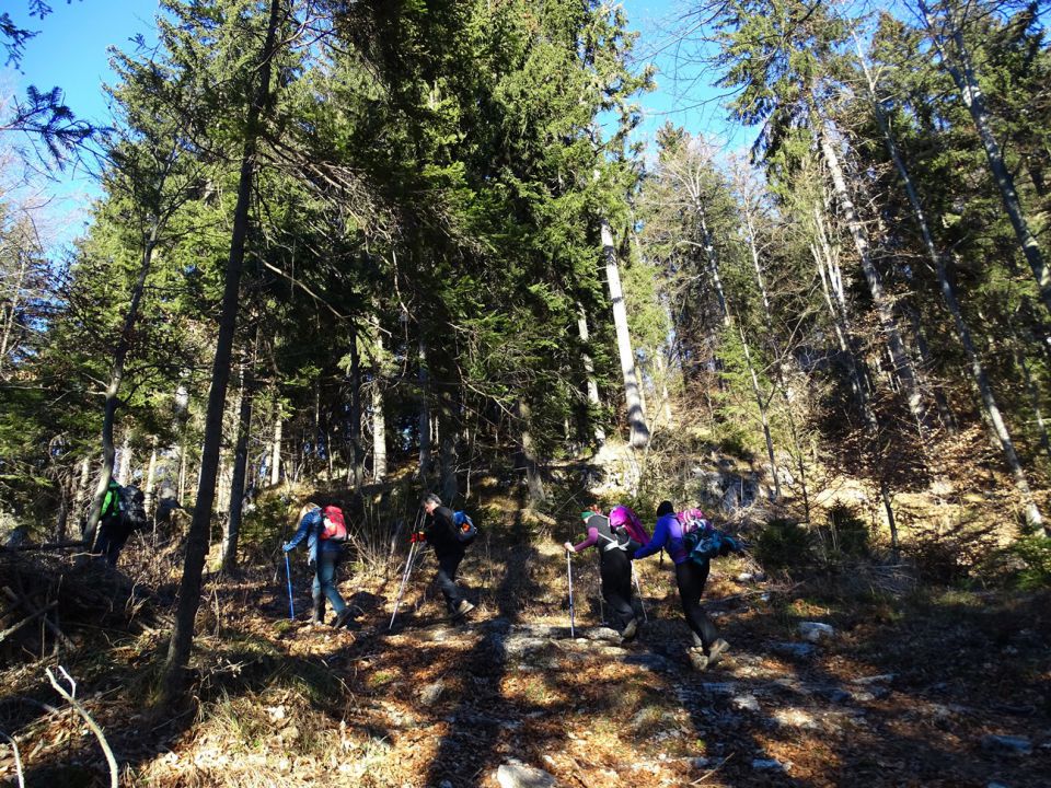 Sleme-Uršlja gora-Naravske ledine-27.12.15 - foto povečava