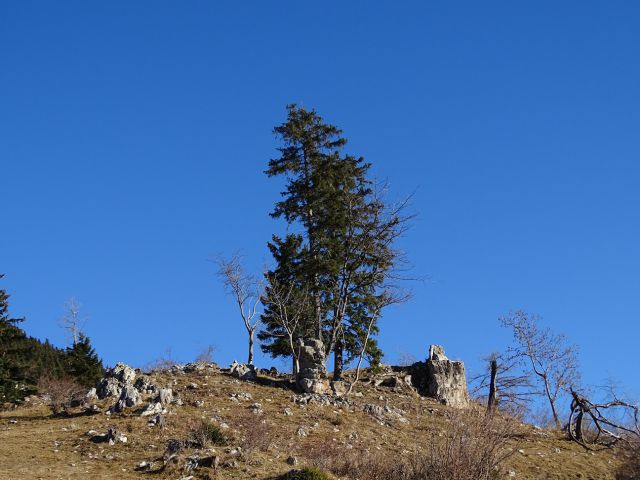 Sleme-Uršlja gora-Naravske ledine-27.12.15 - foto