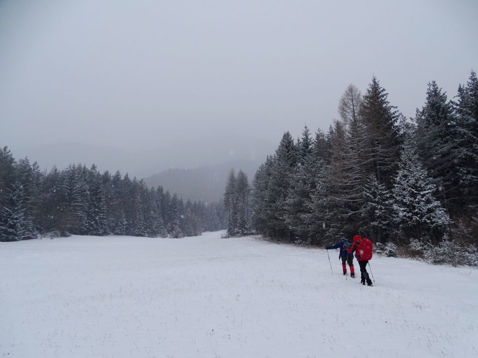 Mitnek-Dom na Peci-Peca-3.1.2016 - foto povečava