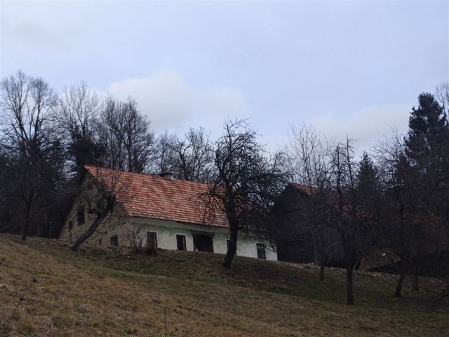 Žekovec-Mozirska k.-Golte-7.2.2016 - foto