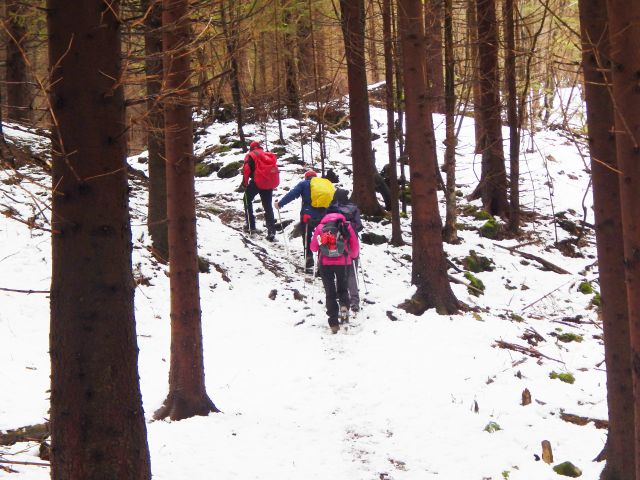 Hrastnik-Gore-Kopitnik-Rimske-14.2.2016 - foto