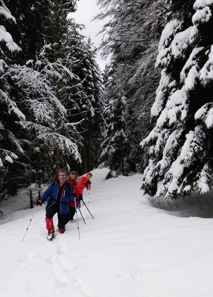 Okrog-Vivodnik-Dom na Menini-21.2.2016 - foto povečava