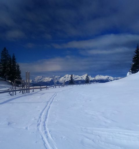 Okrog-Vivodnik-Dom na Menini-21.2.2016 - foto