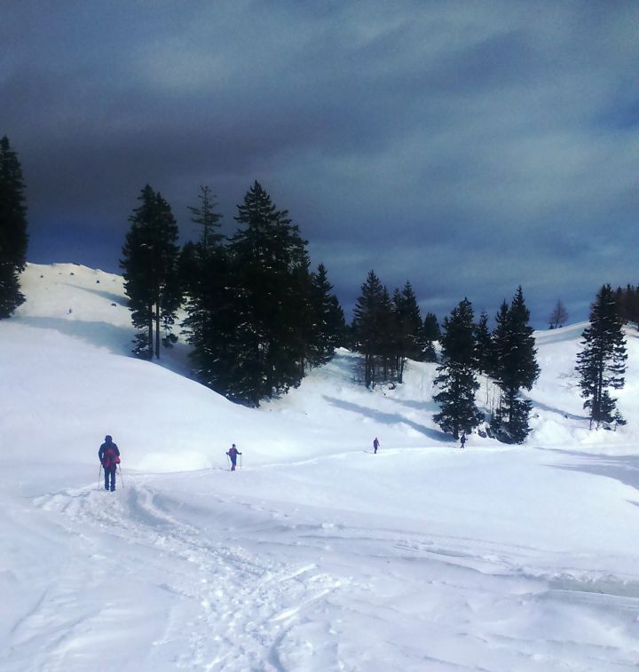 Okrog-Vivodnik-Dom na Menini-21.2.2016 - foto povečava