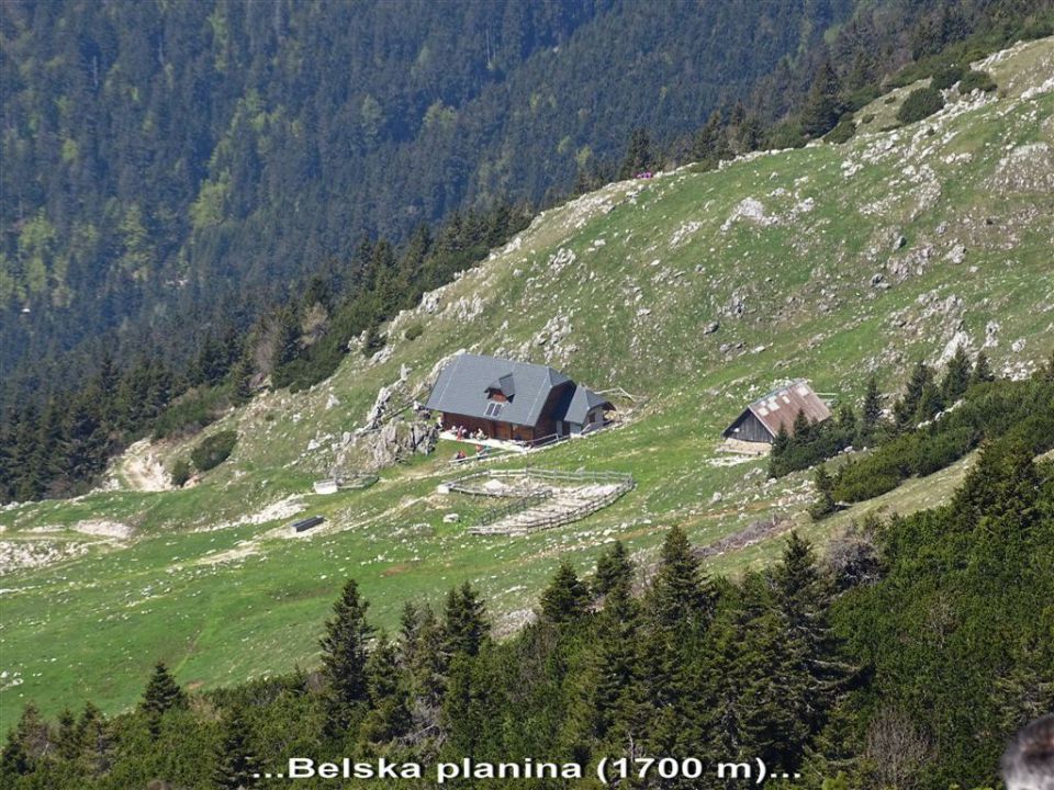 Križovec-Struška-Golica-22.5.2016 - foto povečava