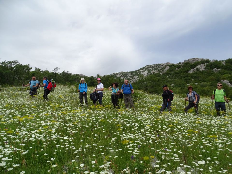 Bojin kuk-Vaganski v.-Sveto brdo-16.6.2016 - foto povečava