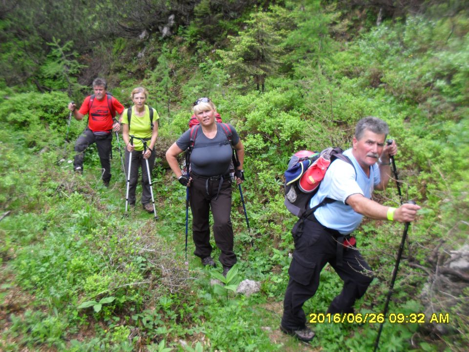 Žagana peč-lovska pot-Kalška gora-26.6.2016 - foto povečava