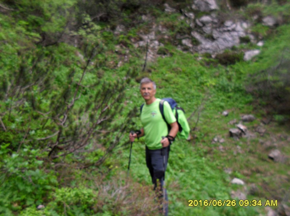 Žagana peč-lovska pot-Kalška gora-26.6.2016 - foto povečava