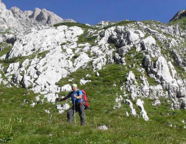 Bovški gamsovec-Razor-Prisojnik-30.-31.7.16 - foto