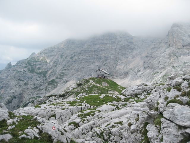 Bovški gamsovec-Razor-Prisojnik-30.-31.7.16 - foto