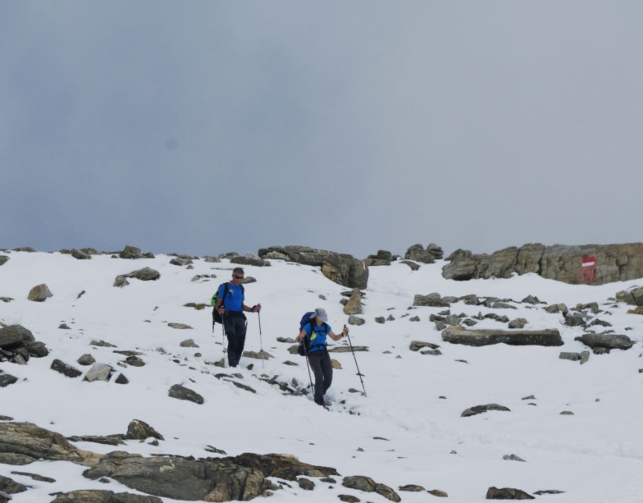 Wangenizzalm-Petzeck(3283m) - 13.8.2016 - foto povečava