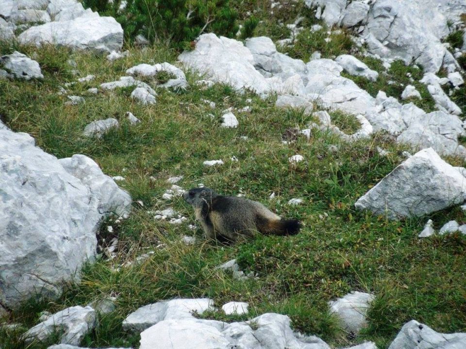 Vrata-Plemenice-Triglav-Kredarica-15.9.2016 - foto povečava