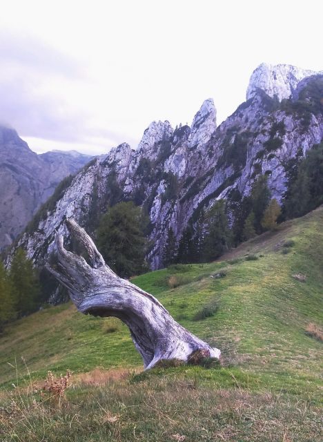 Robanov kot-Ojstrica-Strelovec-1.10.2016 - foto