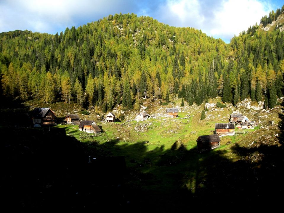 Pl.Blato-Slatna-Vogli-Zelnarica-16.10.2016 - foto povečava