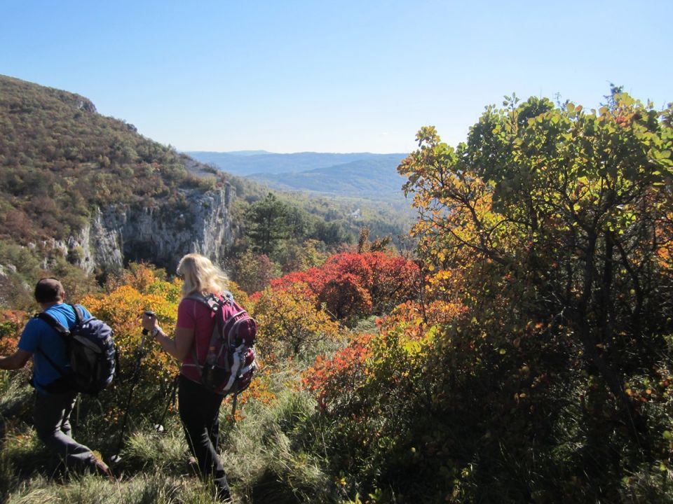 Komare-Kuk-Spodmoli-ruj na Krasu - 30.10.16 - foto povečava