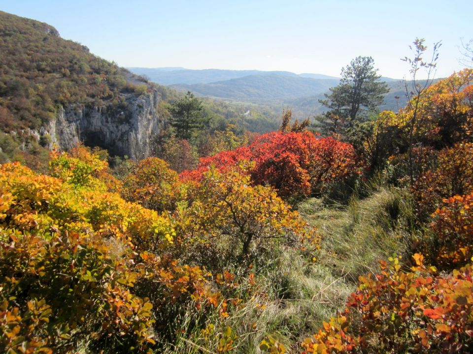 Komare-Kuk-Spodmoli-ruj na Krasu - 30.10.16 - foto povečava