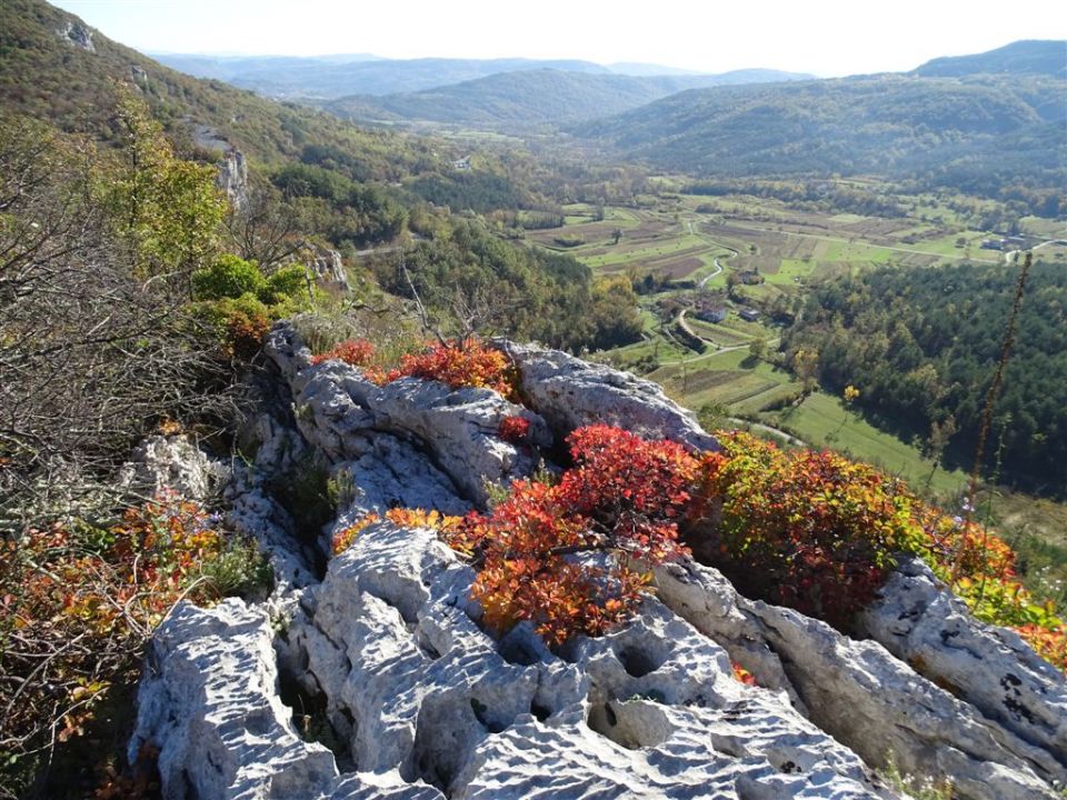 Komare-Kuk-Spodmoli-ruj na Krasu - 30.10.16 - foto povečava