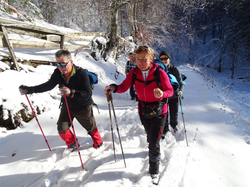 Okrog-Vivodnik-Dom na Menini-13.11.2016 - foto povečava