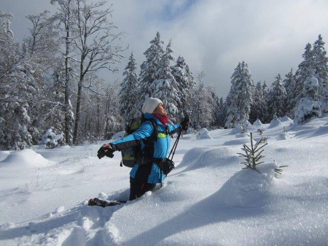 Okrog-Vivodnik-Dom na Menini-13.11.2016 - foto