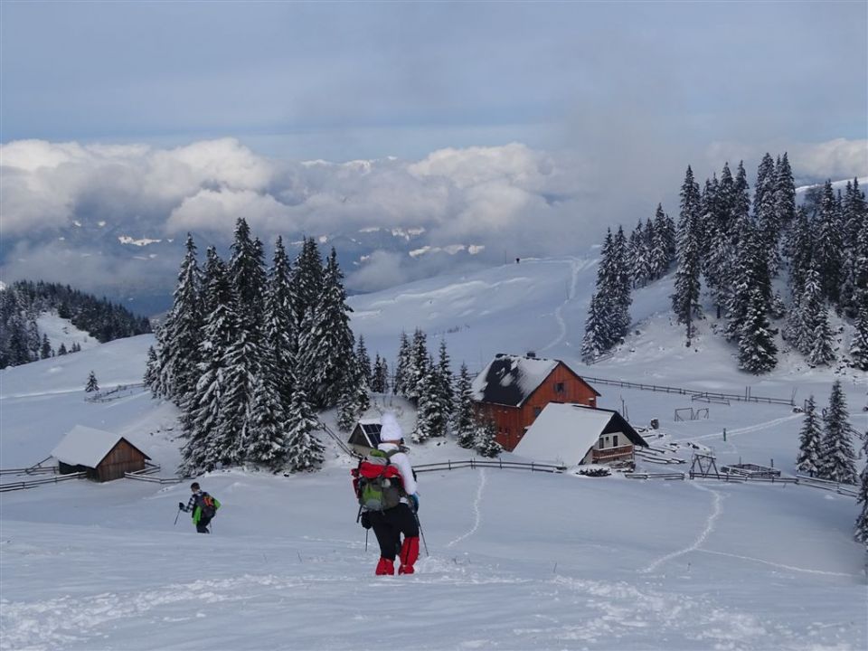 Okrog-Vivodnik-Dom na Menini-13.11.2016 - foto povečava