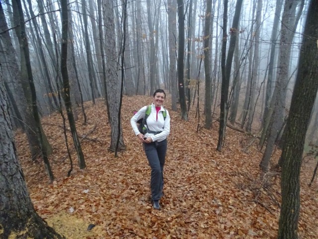 Stolp ljubezni in Medvedov graben - 27.11.16 - foto