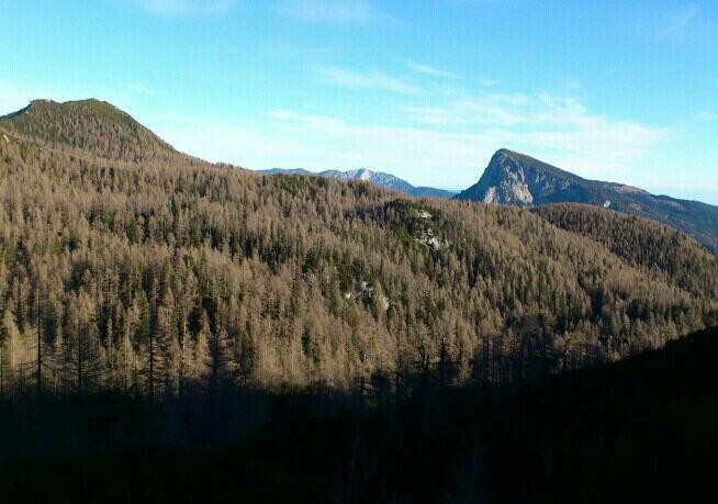 Pl. Ravne-Veliki vrh-Dleskovec-18.12.2016 - foto povečava