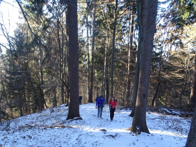 Hrastnik-Klobuk-Mrzlica-29.12.2016 - foto