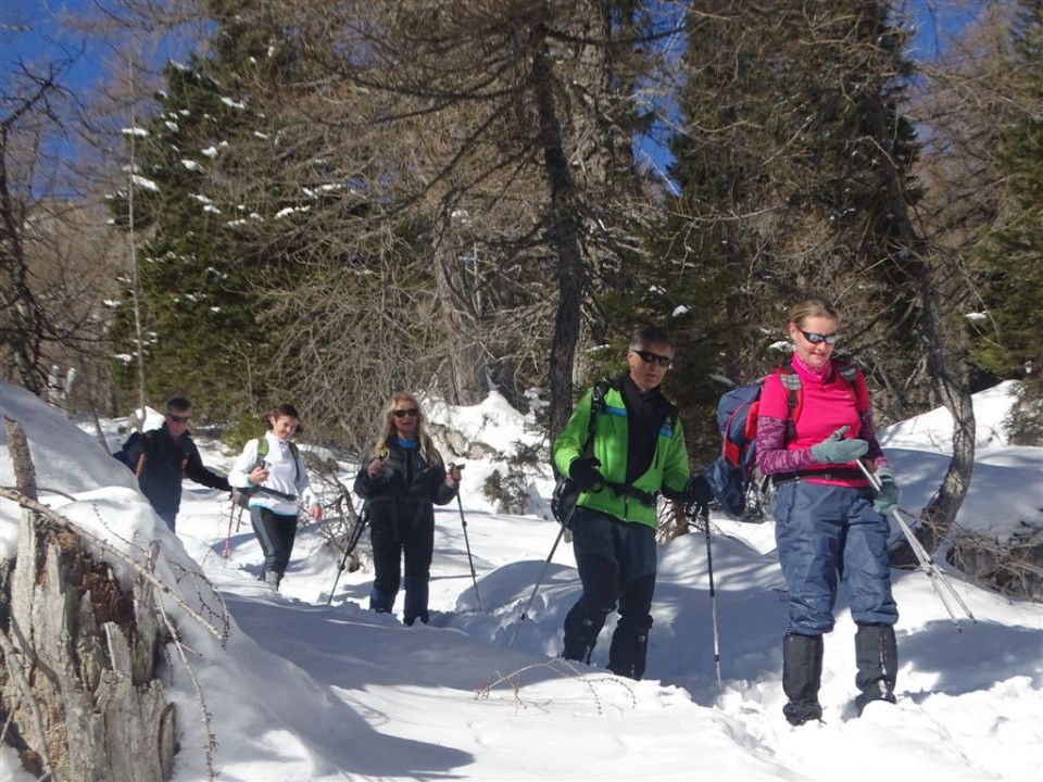 Rupe-Blejska koča-Debela peč-22.1.2017 - foto povečava