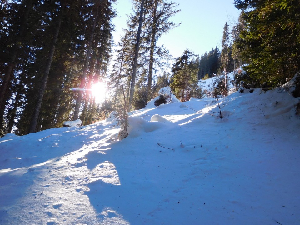 Rupe-Blejska koča-Debela peč-22.1.2017 - foto povečava