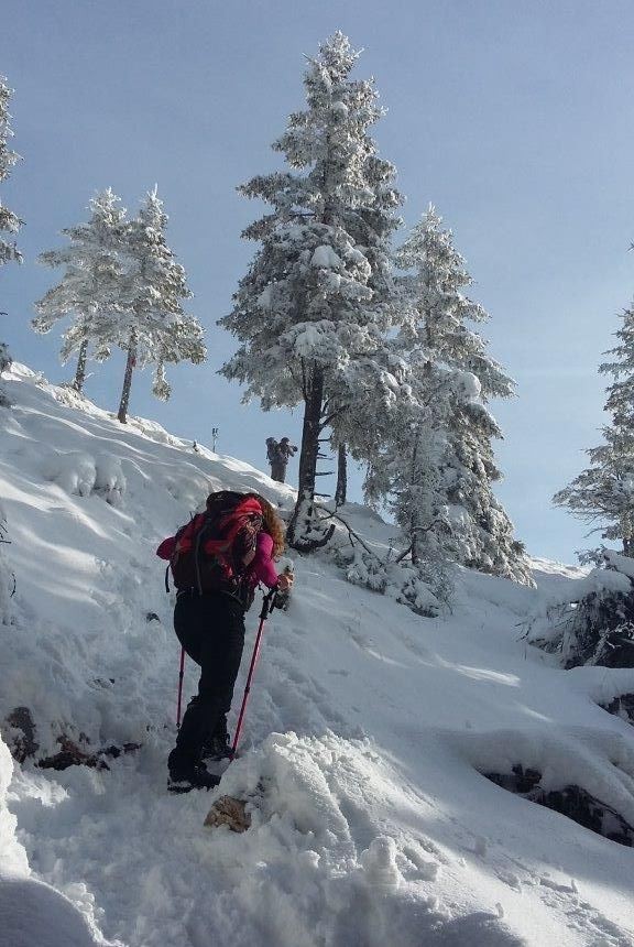 Gozdu-Tolsti vrh-Kriška gora-12.2.2017 - foto povečava