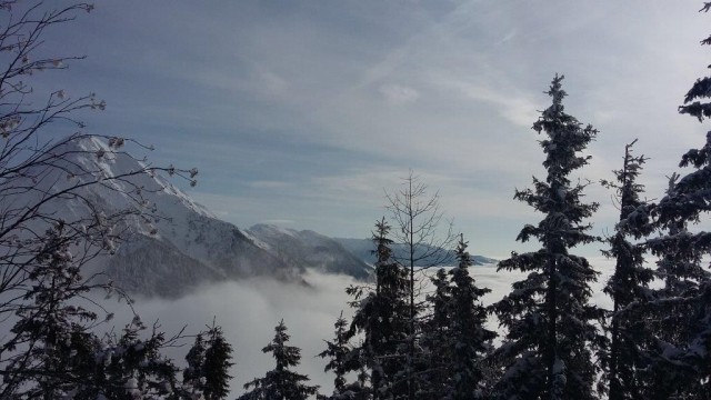 Gozdu-Tolsti vrh-Kriška gora-12.2.2017 - foto
