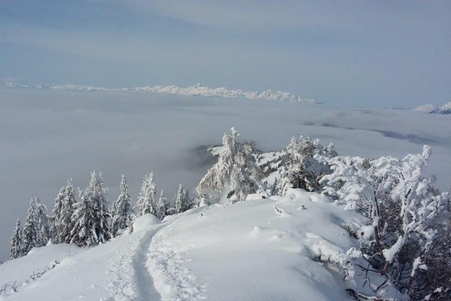 Gozdu-Tolsti vrh-Kriška gora-12.2.2017 - foto