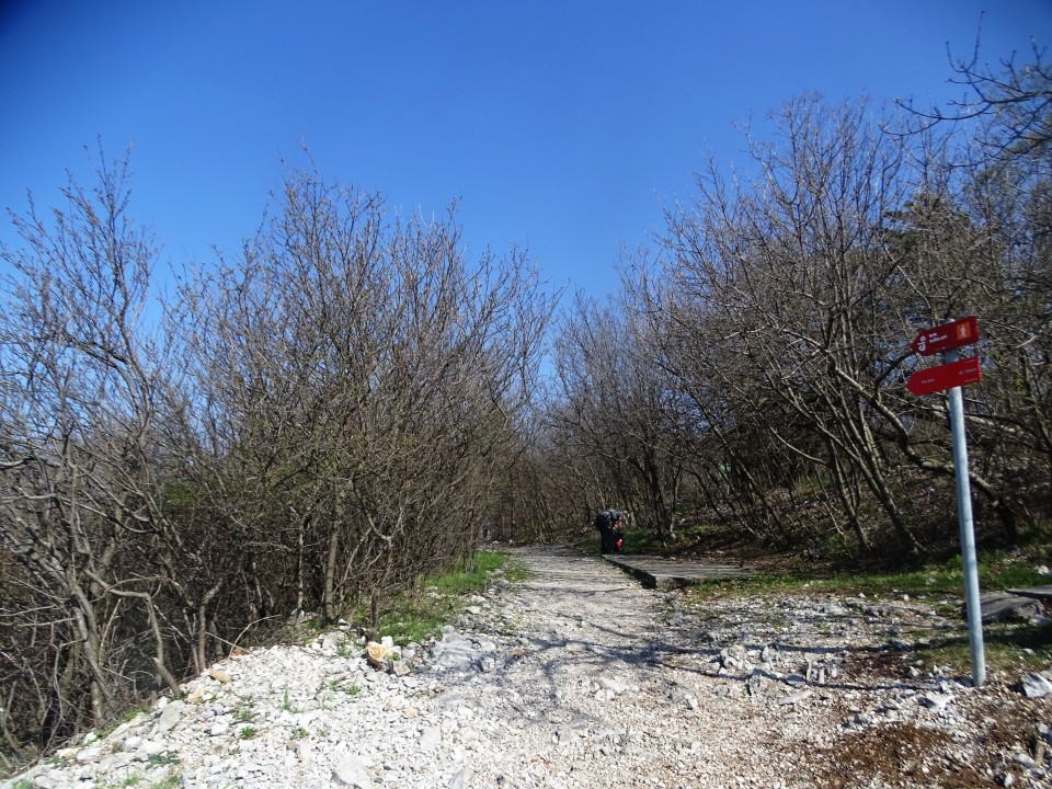 Solkan-Sabotin-Korada-Kanal-25.3.2017 - foto povečava