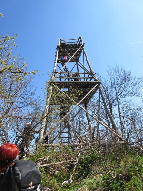 Po medvedvedovih stopinjah - 22.4.2017 - foto