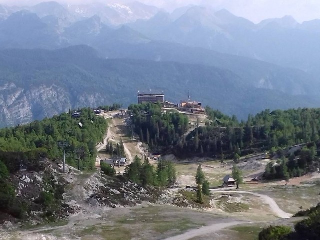 Vogel-Rodica-Črna prst-4.6.2017 - foto