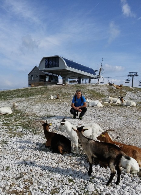 Vogel-Rodica-Črna prst-4.6.2017 - foto