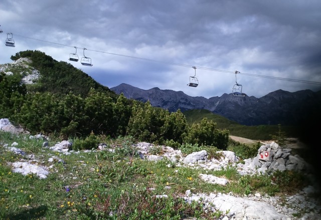 Vogel-Rodica-Črna prst-4.6.2017 - foto