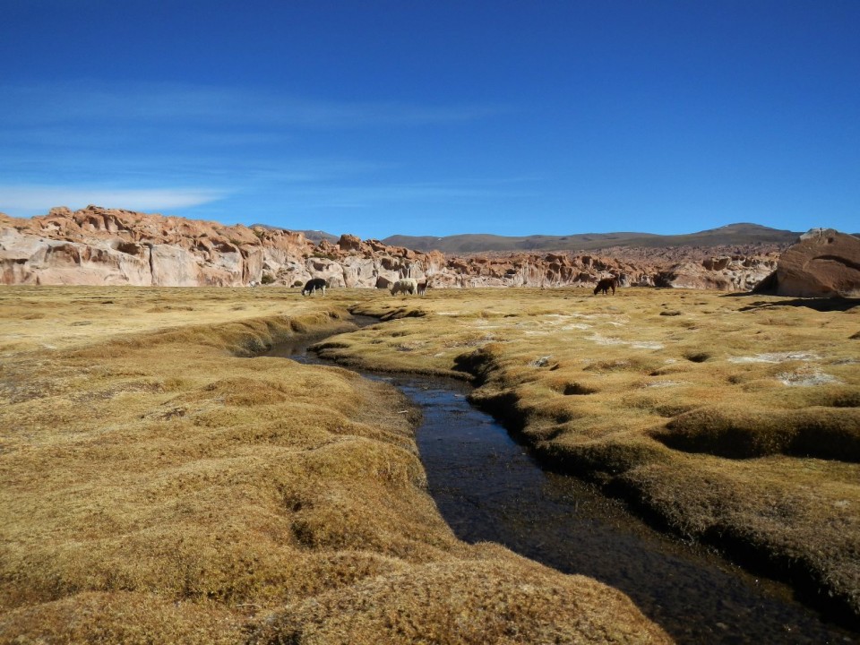 Bolivija-trek-Huayna Potosi(6088m)-7.-27.7.17 - foto povečava