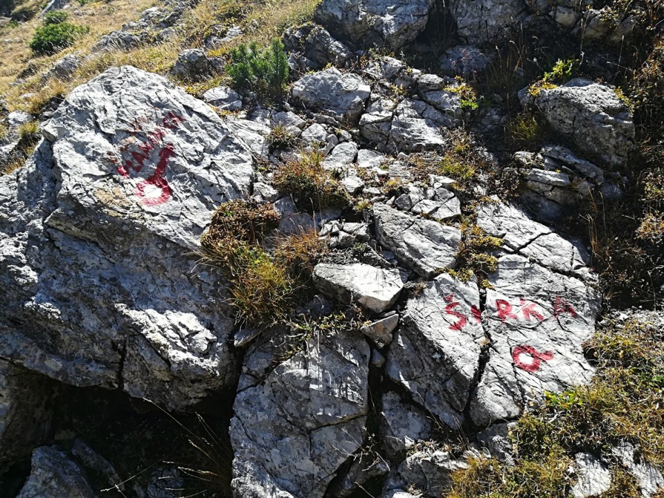 Črna gora-ture po Durmiturju-8-17.9.17 - foto povečava