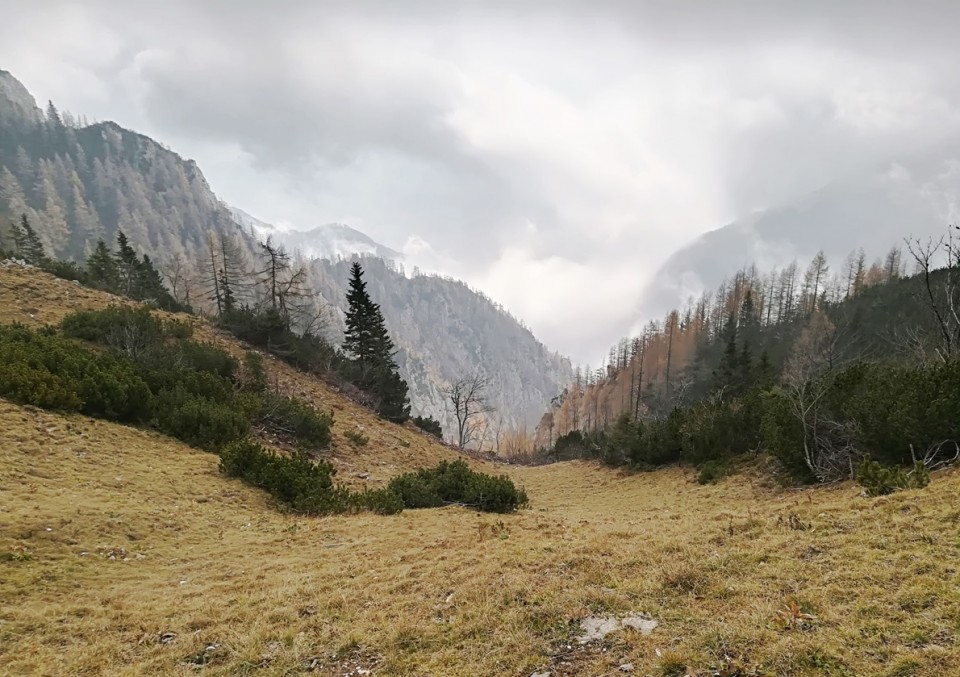 Kriška planina-Vrh Korena-V. Zvoh-4.11.2017 - foto povečava