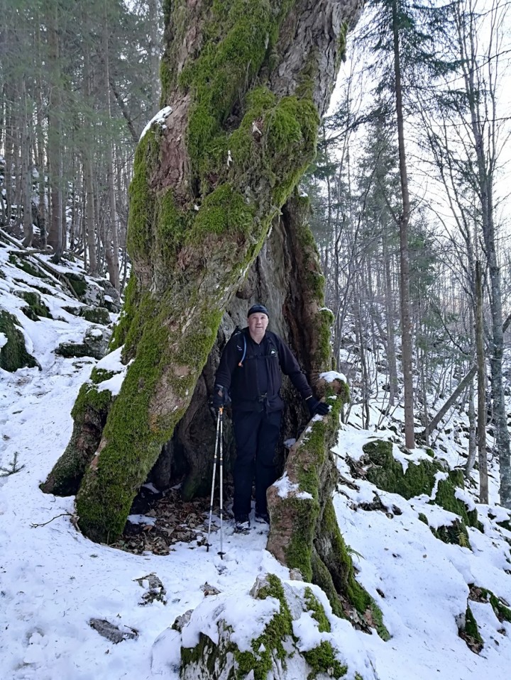 Predmeja-Mali Golak-Čaven-19.11.17 - foto povečava