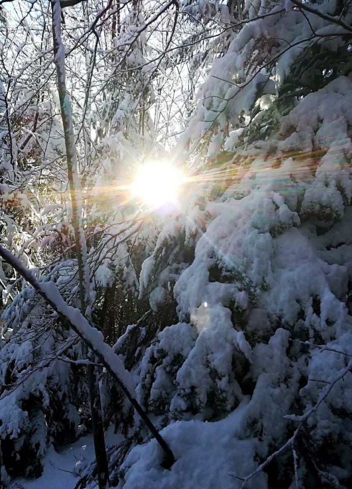 Šmohor-Mrzlica-Kal-Šmohor-17.12.2017 - foto povečava