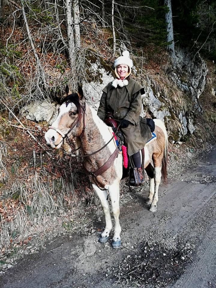 Sleme-Uršlja gora-Naravske ledine-26.12.2017 - foto povečava