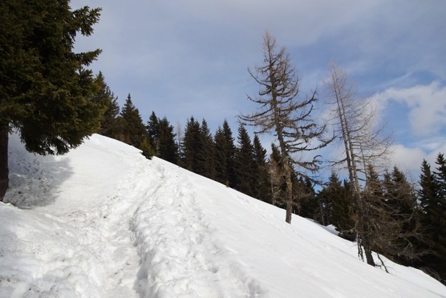 7.Zimski pohod na Peco Mitnek-Peca - 7.1.2018 - foto