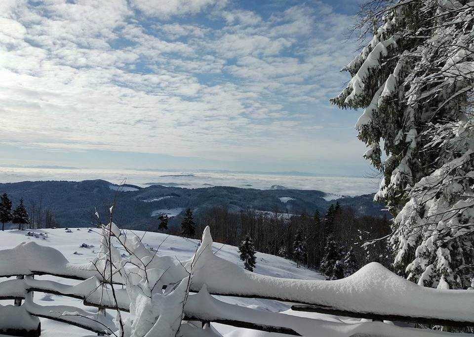 Zg.Okrog-Vivodnik-Dom na Menini-4.2.2018 - foto povečava