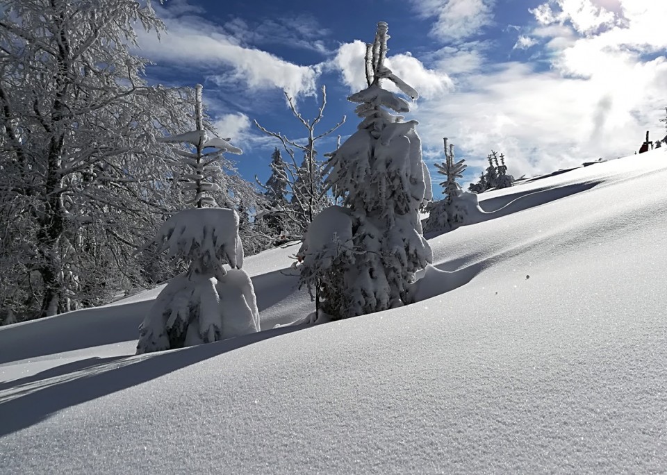 Zg.Okrog-Vivodnik-Dom na Menini-4.2.2018 - foto povečava