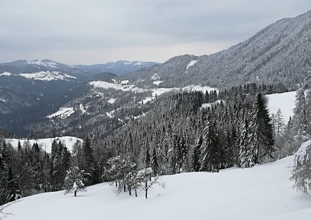 Prtovč-čez Razor-Ratitovec - 11.2.2018 - foto