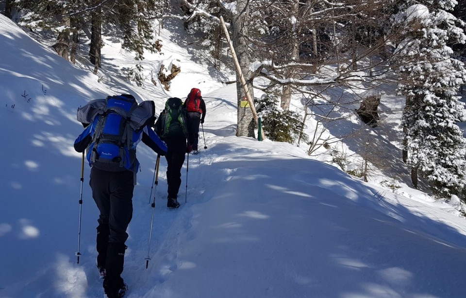 Draga-Planinica-Roblekov dom - 25.2.2018 - foto povečava